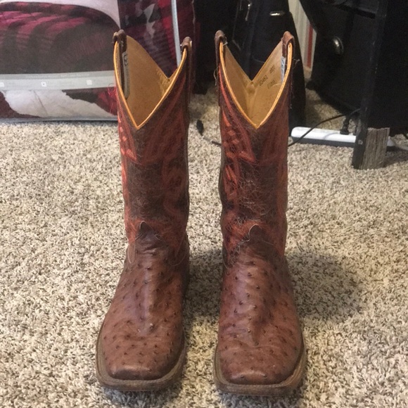 anderson bean ostrich